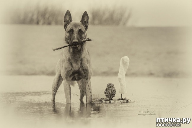 ���� 10: ������ � ����, ������� �� ����� ���� ���� ��� �����