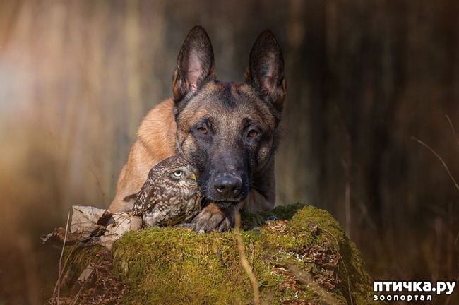 ���� 11: ������ � ����, ������� �� ����� ���� ���� ��� �����