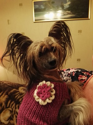 ����: ��� ��������� ��� ���� �������.