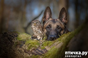 ����: ������ � ����, ������� �� ����� ���� ���� ��� �����