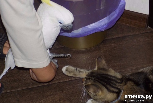 ���� 6: ������, �������! ����������, �����!