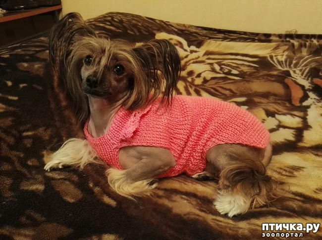 ���� 3: ��� ��������� ��� ���� �������.