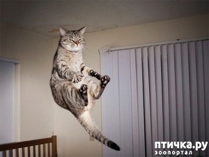 ����: ����� ������������ ������� �� �����: �������� ����!