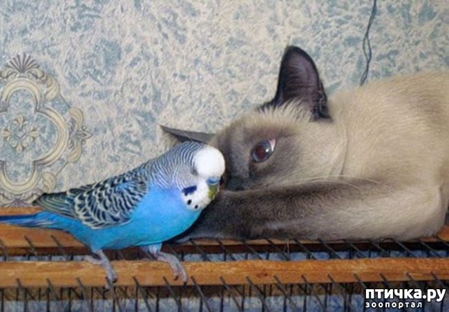 ���� 1: ������ �������)))