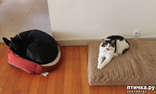 ���� 2: ������, ������� ������� ���������, ����� ���������� ���� �������)))