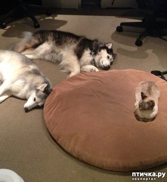 ���� 3: ������, ������� ������� ���������, ����� ���������� ���� �������)))