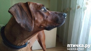 ����: ������, �������! ����������, �����!