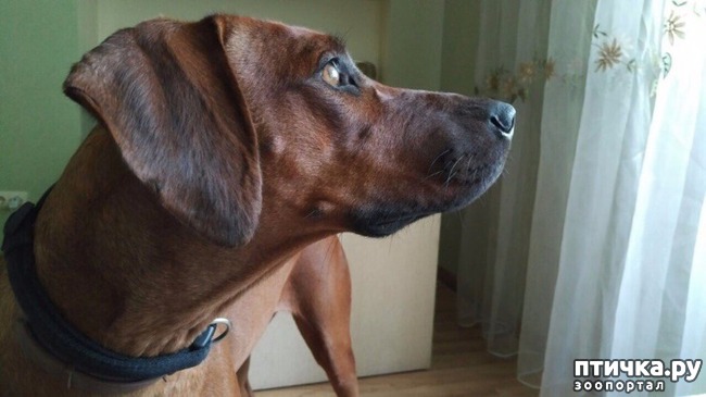 ���� 1: ������, �������! ����������, �����!