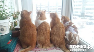 ����: ��������� ���� �������� ��������