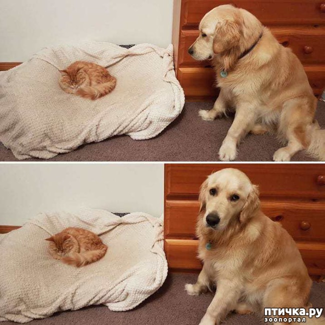 ���� 4: ������, ������� ������� ���������, ����� ���������� ���� �������)))