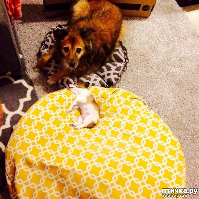 ���� 5: ������, ������� ������� ���������, ����� ���������� ���� �������)))