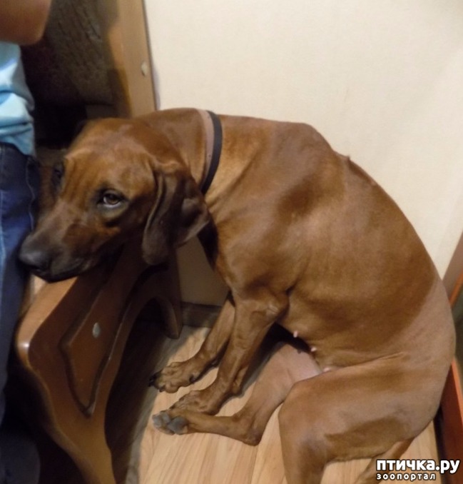 ���� 2: ������, �������! ����������, �����!