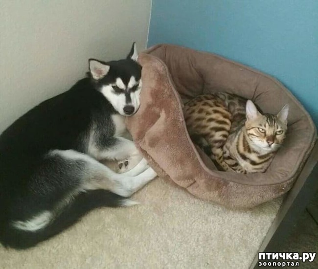 ���� 8: ������, ������� ������� ���������, ����� ���������� ���� �������)))