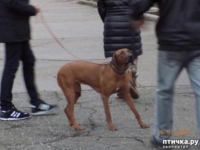 ���� 3: ������, �������! ����������, �����!