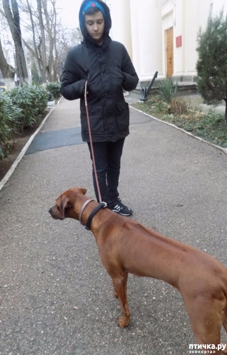 ���� 4: ������, �������! ����������, �����!