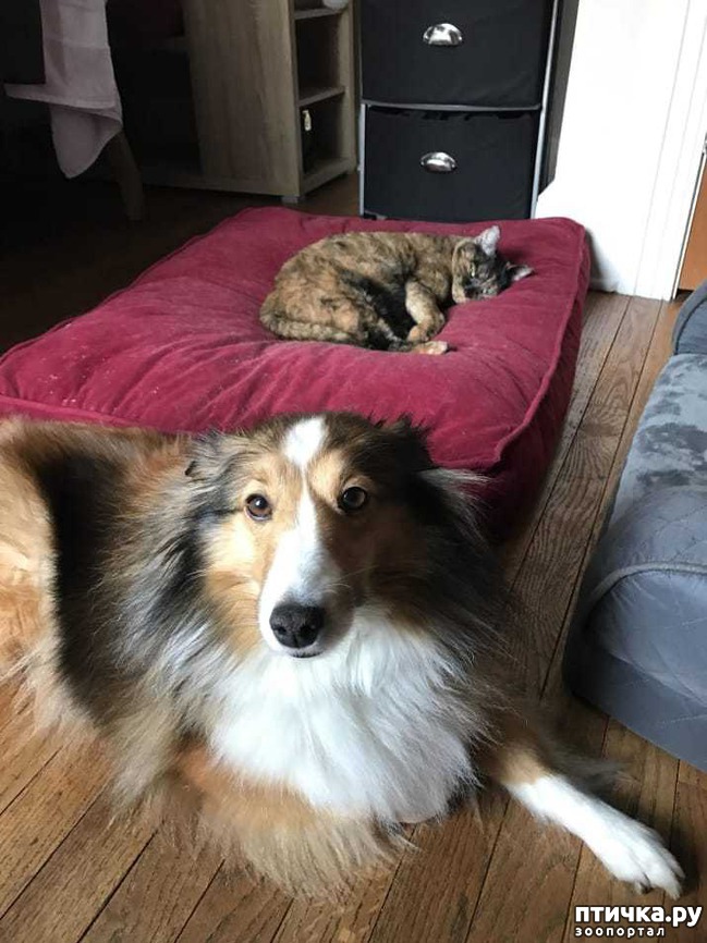 ���� 9: ������, ������� ������� ���������, ����� ���������� ���� �������)))