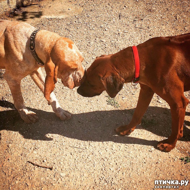 ���� 5: ������, �������! ����������, �����!