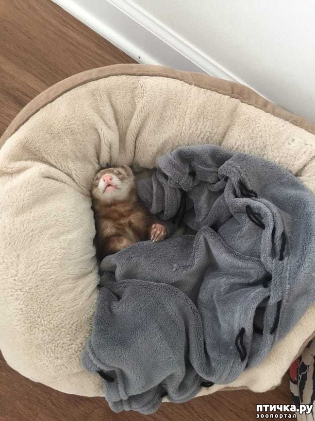 ���� 10: ������, ������� ������� ���������, ����� ���������� ���� �������)))