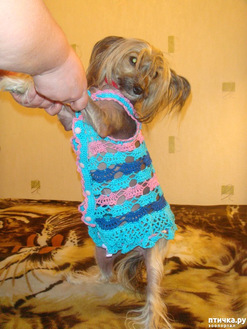 ���� 2: ��� ��������� ��� ���� �������.