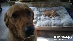 ����: ������, ������� ������� ���������, ����� ���������� ���� �������)))