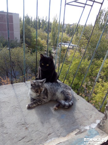 фото: Мои любимые.