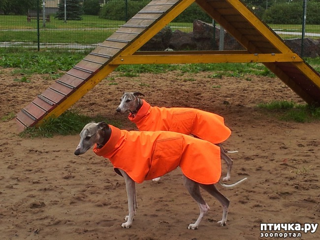  13:     