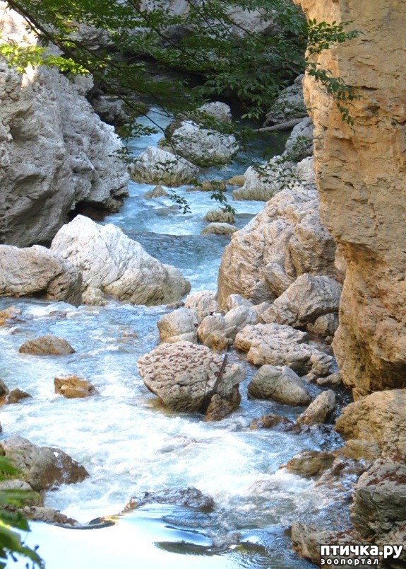фото 2: Водопады Руфабго