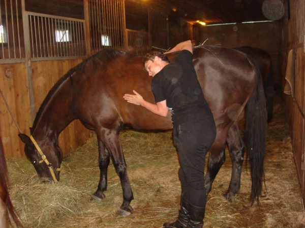 фото 8: История моей любви к лошадям и отдых на конеферме Маланичевых