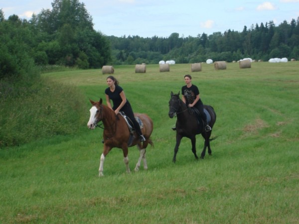 фото 11: История моей любви к лошадям и отдых на конеферме Маланичевых