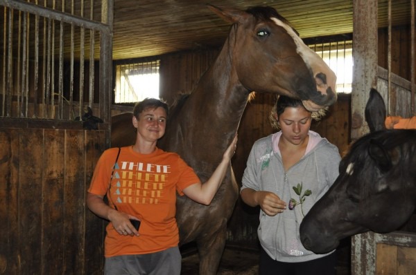 фото 14: История моей любви к лошадям и отдых на конеферме Маланичевых