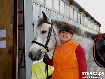 фото: История моей любви к лошадям и отдых на конеферме Маланичевых