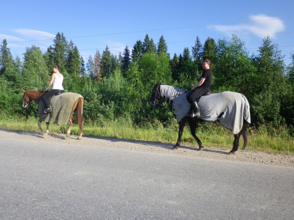 фото 5: История моей любви к лошадям и отдых на конеферме Маланичевых
