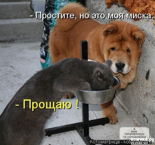 фотография 2: Приколы из интернета - подборка 2 фото 2: Приколы из интернета - подборка 2