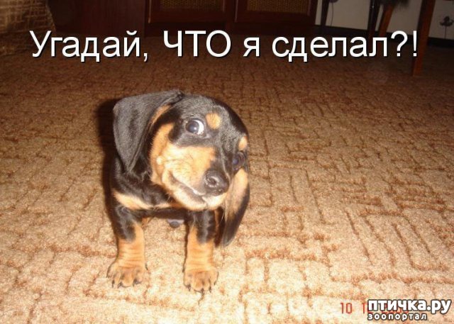 фотография 3: Приколы из интернета - подборка 2 фото 3: Приколы из интернета - подборка 2