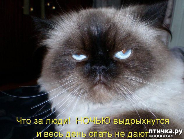 фотография 4: Приколы из интернета - подборка 2 фото 4: Приколы из интернета - подборка 2