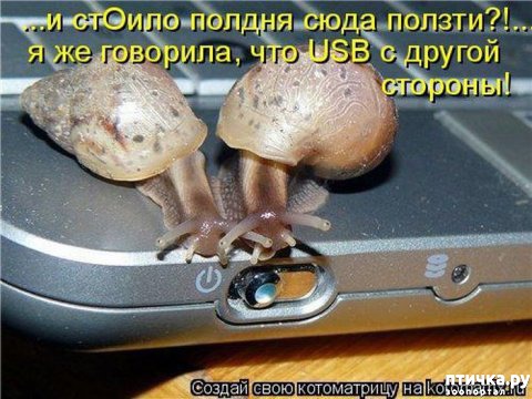 фотография 5: Приколы из интернета - подборка 2 фото 5: Приколы из интернета - подборка 2