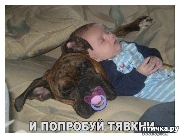 фотография 1: Вот и осень, для настроения. фото 1: Вот и осень, для настроения.