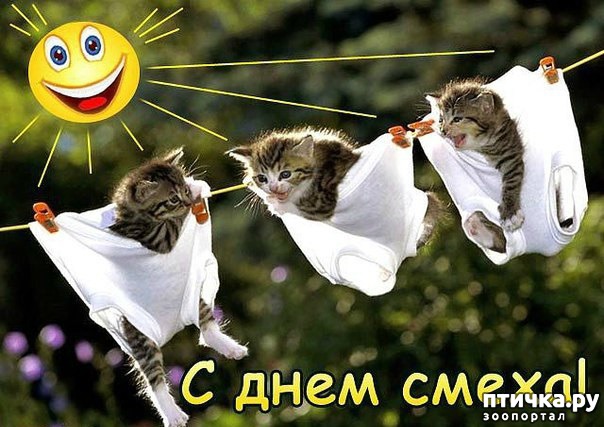 ���� 2: � ���� �����!