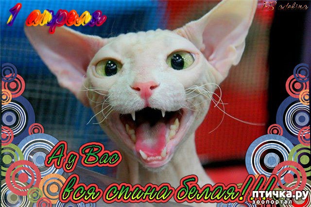 ���� 3: � ���� �����!