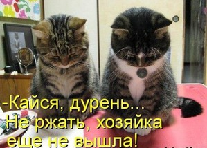 ����: "��������" �����������: ���� �����!