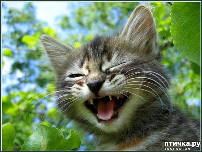 ���� 4: � ���� �����!