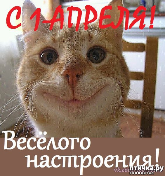 ���� 5: � ���� �����!