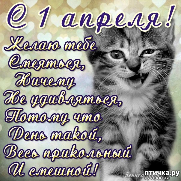 ���� 6: � ���� �����!