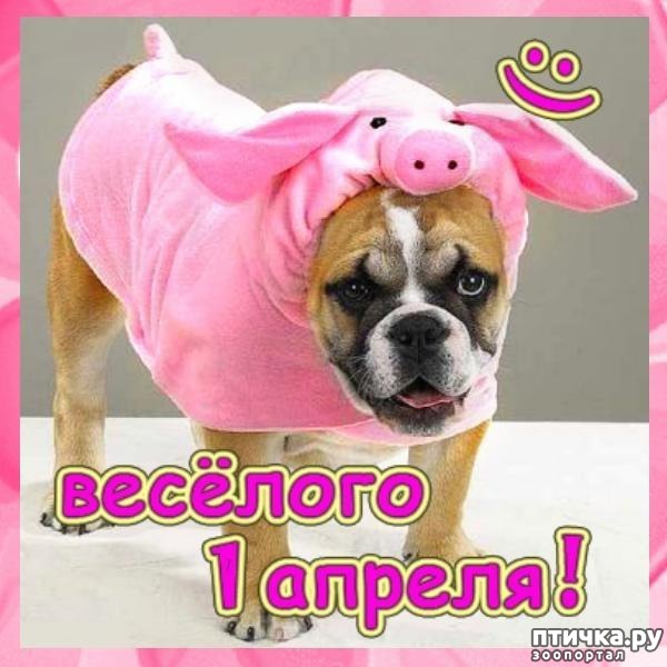 ���� 7: � ���� �����!