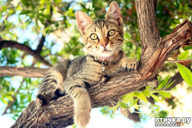 ���� 3: ��� ��������������� �����, ����� ���� ������� �� ������ ���