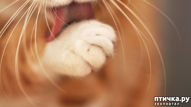 ���� 4: ��� ��������������� �����, ����� ���� ������� �� ������ ���