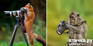 ����: ����� ���������� ���������-����������� :-)