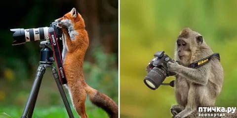 ���� 1: ����� ���������� ���������-����������� :-)