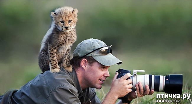 ���� 9: ����� ���������� ���������-����������� :-)