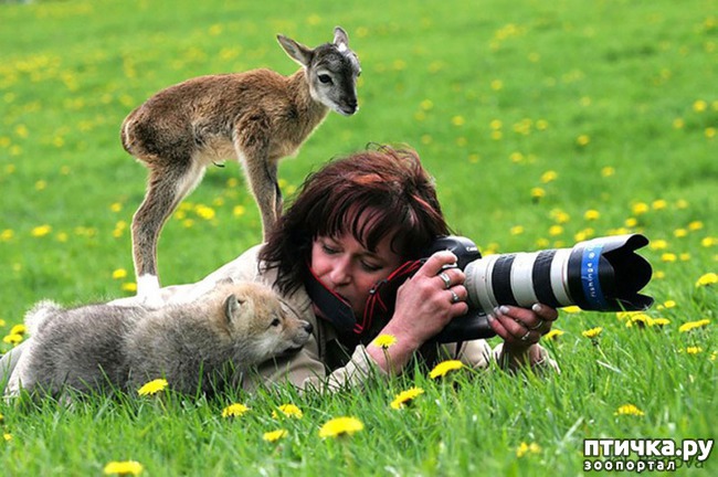 ���� 8: ����� ���������� ���������-����������� :-)